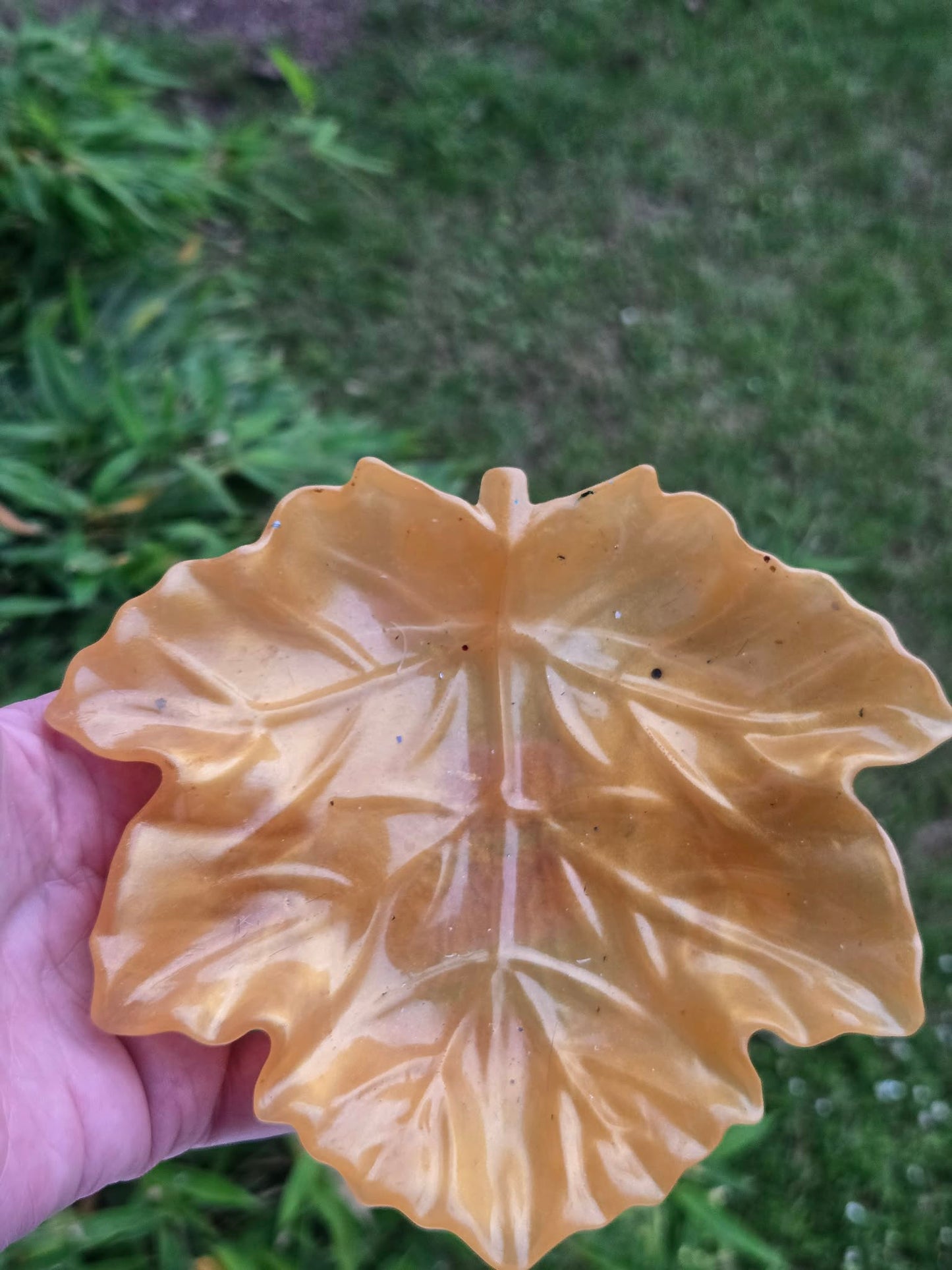 Vide poche feuille