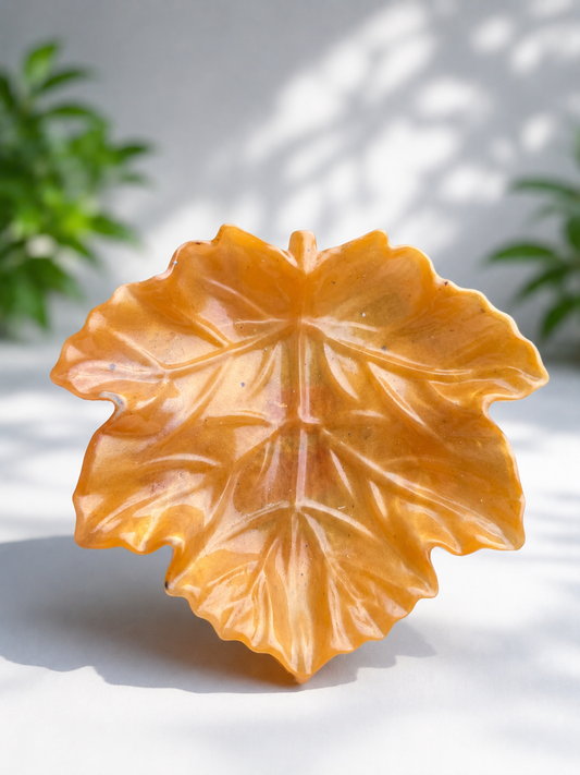Vide poche feuille